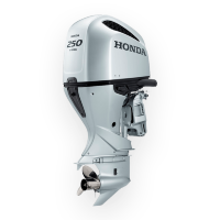 Мотор лодочный BF250D XDU